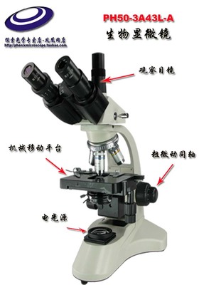 鳳凰PH50-3A43L-A生物顯微鏡 可擴(kuò)展的多功能光學(xué)成像平臺(tái)